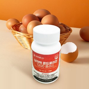 비비드랩 난각막 콘드로이친 1200 플러스 콘드로이친황산 함유, 1개, 60정