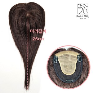 정수리 부분가발 PW(14x16)-28cm 넓게커버 두피표현 추가금없음, 1개, 1.PW(14x16)-28cm (자연갈색)