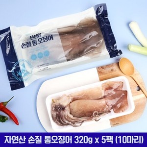 자연산 손질 통오징어 320g x 5팩 (10마리), 5개