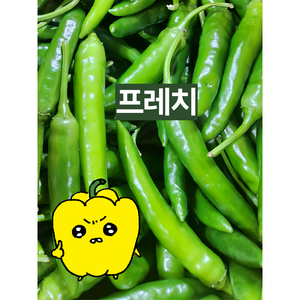 프레치 국내산 청양고추 매운고추 땡초, 1kg, 상, 1개