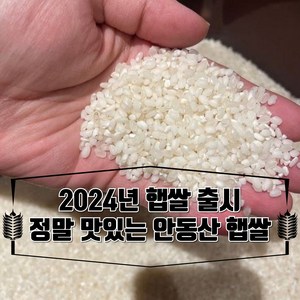 [갓 도정한 햅쌀] 경북 안동산 쌀10kg 햅쌀 쌀눈살린 황금쌀 쌀10kg 안동 백진주쌀 진주쌀, 1개, 10kg