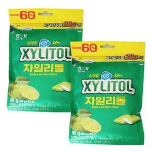 해태 자일리톨 애플민트 껌 리필 110g, 2개