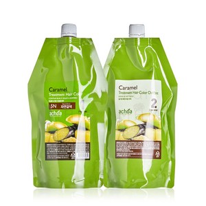 아초아 카라멜 염색 헤어칼라 400ml 새치커버, 8GB(골드브라운), 1개