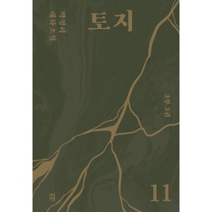 토지 11(3부 3권):박경리 대하소설, 다산책방, 토지 11(3부 3권), 박경리(저)