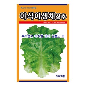 모칸도 제일종묘 아삭이 생채 상추 씨앗 3000립, 1개