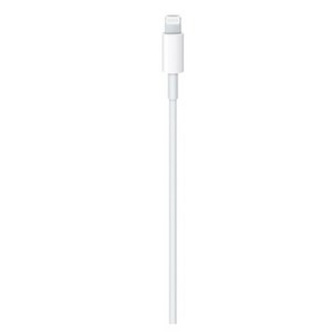 Apple 정품 Lightning-C타입 충전 케이블, 1m, 1개