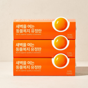 [스탠다드에그] HACCP 인증 동물복지 무항생제 친환경인증 유정란 (낮12시 이전 주문건 무료발송), 1세트, 30구