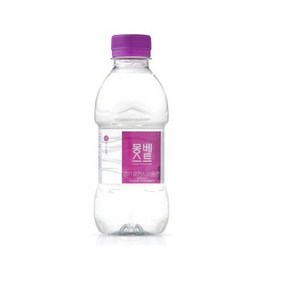 몽베스트 생수, 330ml, 1개