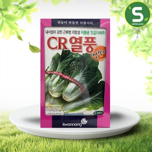 솔림텃밭몰 엇갈이배추씨앗 6000립 CR열풍 여름용 엇갈이배추, 1개