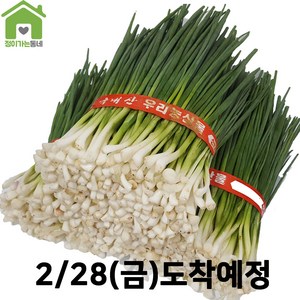 국내산 깐쪽파 쪽파 파 1단 (약1Kg), 1kg, 1개