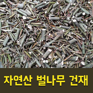 [자연산 산약초] 강원도 영월 자연산 벌나무 건재 (산청목), 250g, 2개