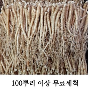 삼계탕용 갈비탕용 작은 실삼계 무료세척 실속형 100뿌리이상, 실삼계750g(130-150뿌리), (세척원하지않아요X), 1개