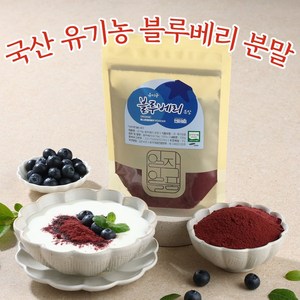 국내산 유기농 블루베리 가루 분말, 유기농블루베리분말100g, 3개, 100g