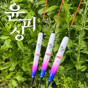 윤피싱 대물 평정 민물찌 올림찌 저부력대물찌, 3호, 1개