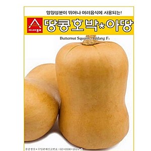 땅콩호박씨앗 버터호박종자 아땅10립 팜스마켓, 1개