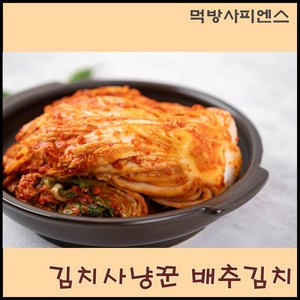 먹방사피엔스 김치에 목숨거는 김치사냥꾼 국내산 배추김치, 1개, 1kg