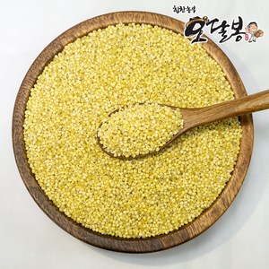 힘찬농부 수입 찰기장 기장쌀, 1개, 500G