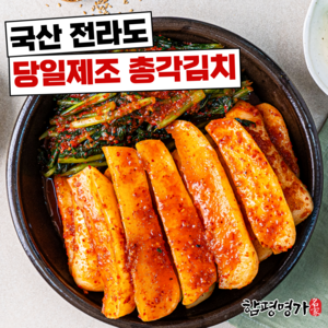 [함평명가] 100% 국산 당일제조 전라도 알타리 총각김치, 1개, 2kg