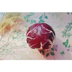 라디치오 (Radicchio) 1알, 1개