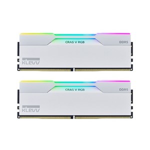 ESSENCORE ESSENCORE KLEVV DDR5-6400 CL32 CRAS V RGB WHITE 패키지 서린 (32GB(16Gx2)), 2개