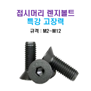 특강 고장력 접시머리 렌지볼트 M2~M12 너트 와셔, M5, 20mm, 1개