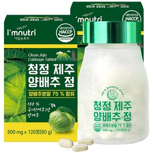 아임뉴트리 청정 제주 양배추환 양배추 정 500mg x 120정, 2개