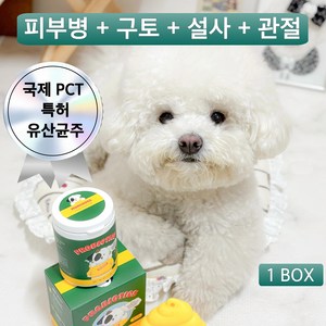 [국제 PCT 특허] 멍보스 강아지 고양이 유산균 댕산균, 60g, 1세트