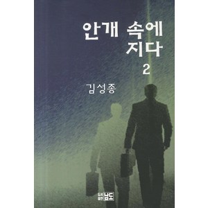 안개 속에 지다 2, 남도, 김성종 저