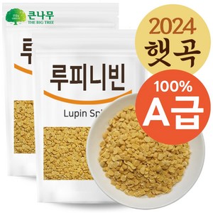 The큰나무 루피니빈 콩 루피니빈콩, 2개, 1kg