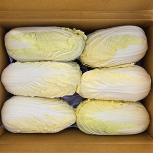 맛통령 알배추 알배기 쌈배추 3통, 1개, 2kg