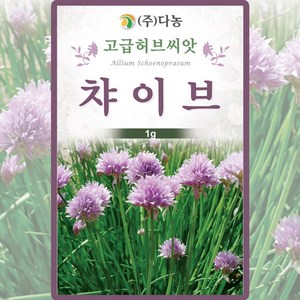 신경초 씨앗 미모사 1g 다농 꽃씨 허브 야생화 꽃씨앗, 1개