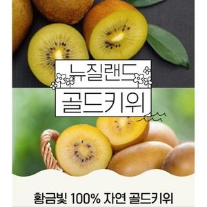 뉴질랜드 제스프리 골드키위, 1박스, 중과 2kg (15-17과)