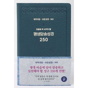 개역개정 평생 암송 성경 250 (쉬운성경 / NIV) 다크블루, 아가페