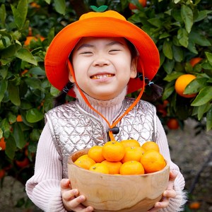 제주 서귀포발송 초고당도 제철 노지 감귤, 1박스, 4.5kg(로얄과)