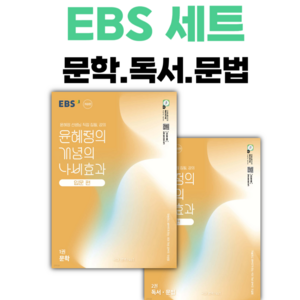 윤혜정의 개념의 나비효과 입문편 + 입문편 워크북 2종 세트, 국어영역, EBS