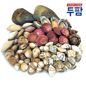 두팜 조개구이 2kg 세트 조개모듬 캠핑조개, 실속세트 2kg 내외, 1개