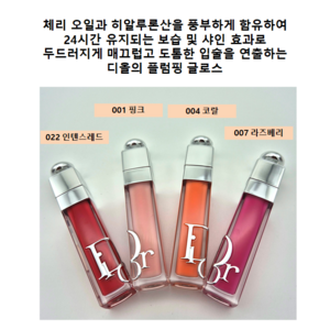 디'올뷰티 NEW 어딕트 립 맥시마이저 리뉴얼 [백화점정품], 009 인텐스 로즈우드, 6ml, 1개