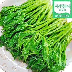 [산지당일배송] 엄나무순 개두릅 첫순 봄나물, 1박스, 500g