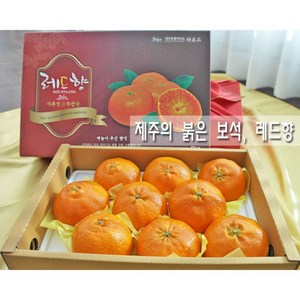 허니삼구 고당도 꿀맛 제주 레드향 설 명절 선물세트 3KG 5KG, 1박스, 3kg(14-17과)