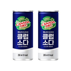 캐나다드라이 클럽소다, 250ml, 30개