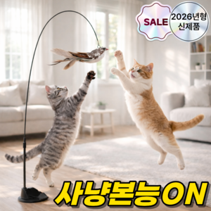 디오벨러 혼자노는 낚시대 고양이 장난감