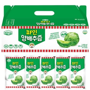 100% 그대로 들어간 양배추즙 100ml 30포, 1개, 2.4L