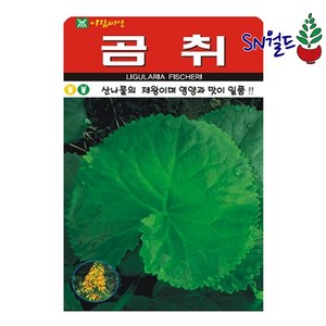 솔림텃밭몰 곰취씨앗 100립 산나물 산채류 쌈채소, 1개