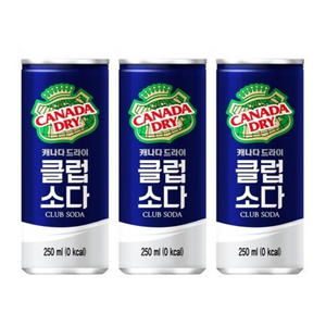 캐나다드라이 클럽소다 250ml, 5개
