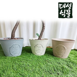 프로방스 플로럴 원형 M105 55X28 빈 분갈이 화분 마오리 포트, 아이보리