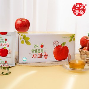 영주 햇살듬뿍 사과즙 100mlx30포 (3세트), 3L