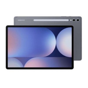 [삼성] 갤럭시탭 S10+ 5G 512GB SM-X826 문스톤 그레이 SM-X826NZAEKOO, Wi-Fi, 문스톤그레이