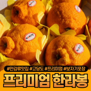 [다정한과일] 만감류 맛집 프리미엄 제주 한라봉 가정용/선물용 (보자기포장), 1세트, (가정용) 2kg 중대과