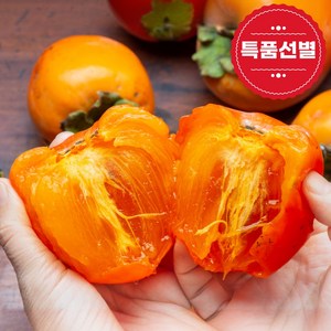 조이그린 달콤가득 대봉감 홍시 곶감용, 1박스, 2kg(중과)