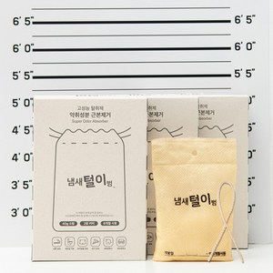 냄새털이범 6개월 사용하는 초강력 탈취제, 40g, 3개